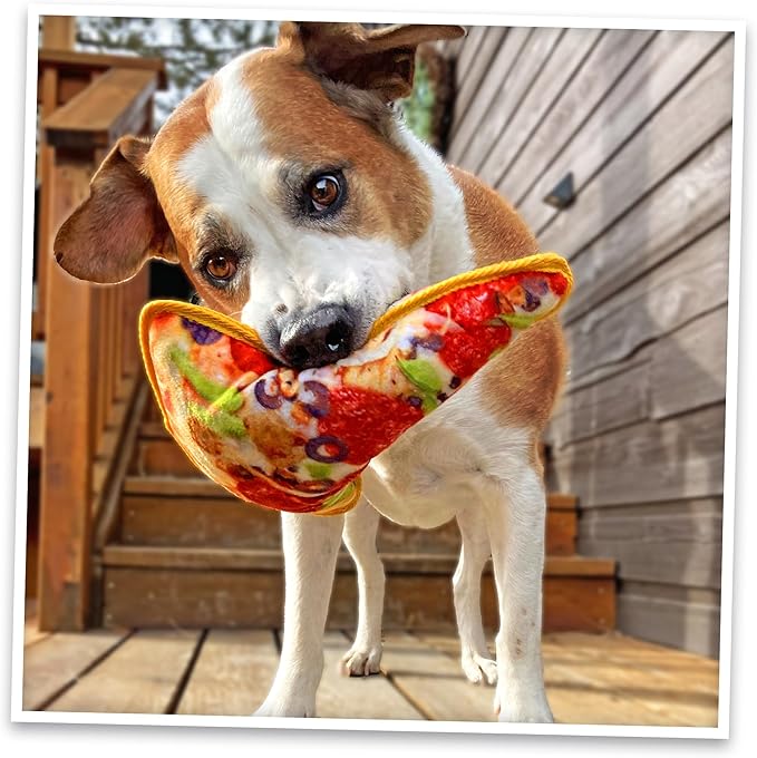 Doggijuana Tuffer Chewer Plush Dog Toy | Funny Dog Toy Plush with Juananip Catnip for Dogs | Calming Aid for Dogs | Interactive Squeaky Chew Toy for Play (Supreme Pizza)