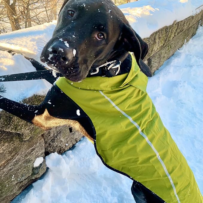 Mile High Life Dog Raincoat, Adjustable Waterproof Reflective Rain Jacket for Small Medium Large Dogs, Lightweight Breathable Pet Rain Coat with Leash Hole(Lime Yellow,XXS Chest 16-19")