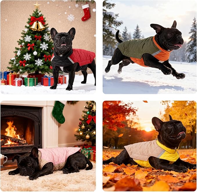 Reversible Waterproof Dog Coat - Adjustable Winter Jacket for Small to Large Breeds, Warm Cold Weather Apparel for Medium Dogs (Red & Black, Small (Pack of 1))