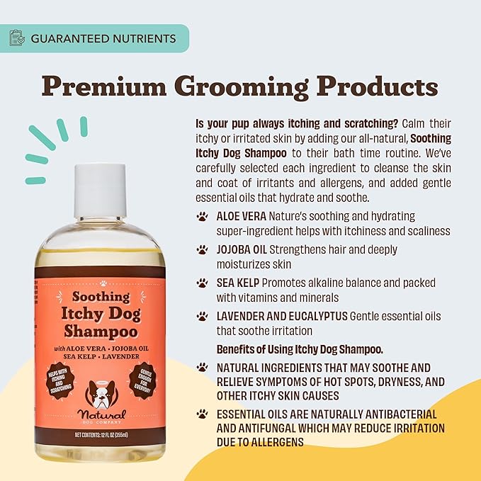 Natural Dog Company Itchy Dog Shampoo 12 oz – Hypoallergenic & Fragrance Free – Aloe Vera, Jojoba & Sea Kelp – Sulfate & Paraben Free – Soothes Dry, Itchy, Irritated Skin – Safe for All Breeds