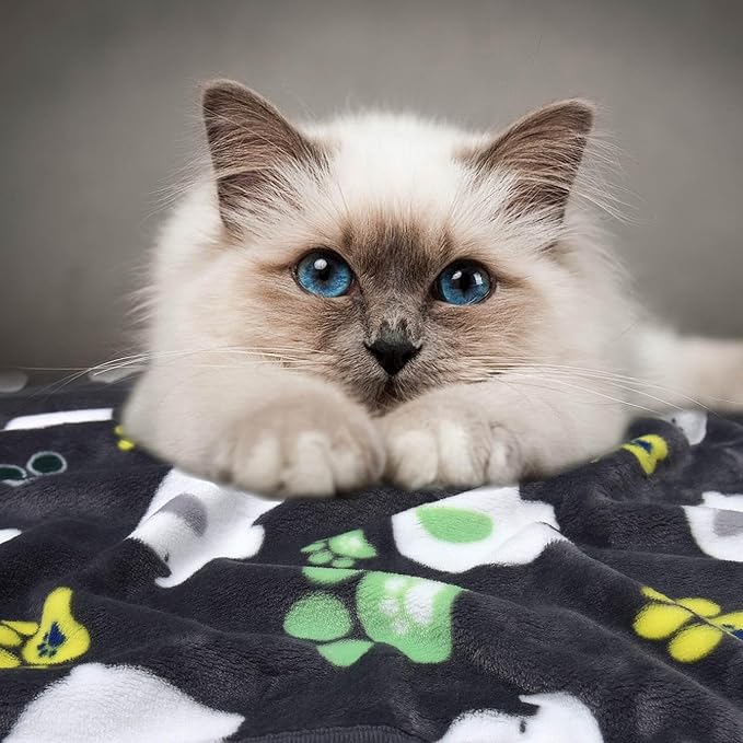 Rezutan Small Dog Blankets 3 Pack for Pet Cat Soft Fuzzy Washable Puppy Blankets,Reversible Elephant & Paw Print Suitable for Dog Kennels & Beds, Sofas Gifts Puppy Essentials, 24x20 inch