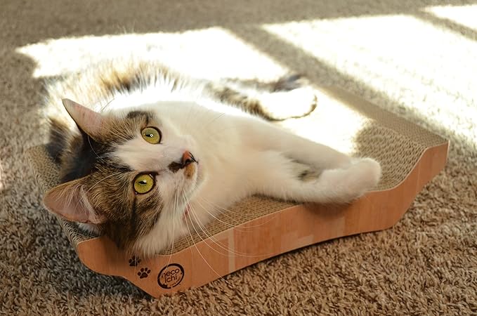 Necoichi Cardboard Cat Scratcher Bed for Indoor Cats - Cat Scratching Board, Horizontal Cat Scratch Pad Lounger with Reversible Usability and Extra Comfort for Lounge, Curved (17" Regular, Oak)