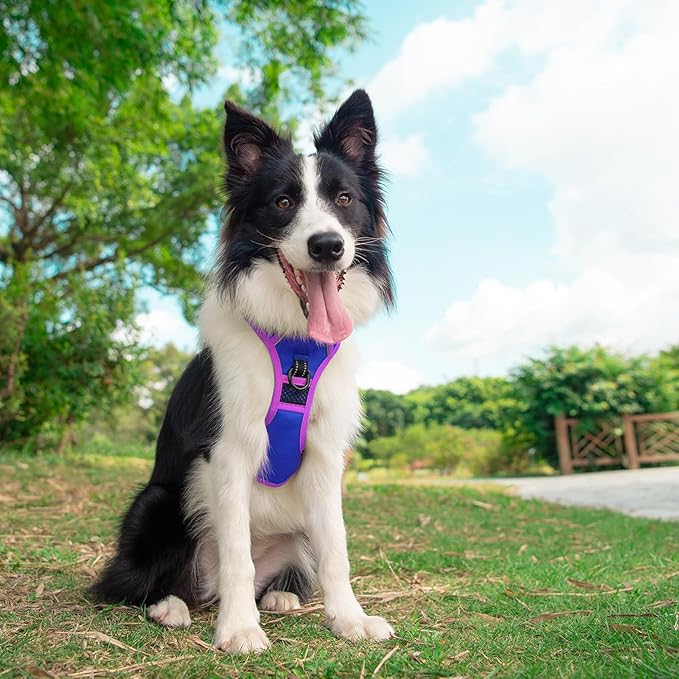 PHOEPET 2019 Upgraded No Pull Dog Harness, Reflective Adjustable Vest, with a Training Handle + 2 Metal Leash Hooks+ 3 Snap Buckles +4 Slide Buckles(S, Royal Blue)