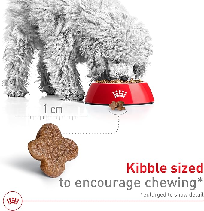 Royal Canin Size Health Nutrition Small 8+ Senior Dry Dog Food, 13 lb Bag