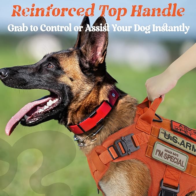 rabbitgoo Tactical Dog Harness for Small, Heavy Duty Pet Harness with Handle, No-Pull Service Vest Small Breed, Adjustable Military Dog Vest for Training Hunting Walking, Orange, S