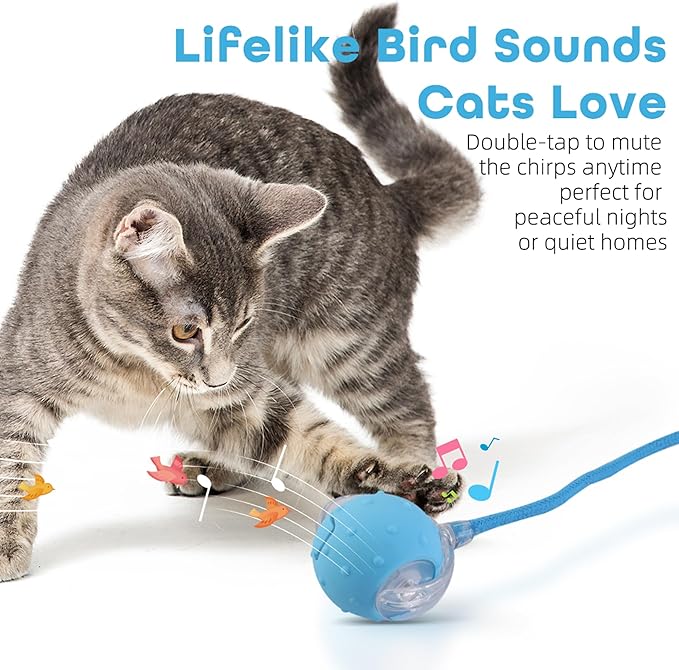 Interactive Cat Toys Ball for Indoor Cats with Elastic Mesh Net Tails – 3 Working Modes for Agile Movement, Motion Activated, USB-C Rechargeable, Ideal for Indoor Cats (Blue)