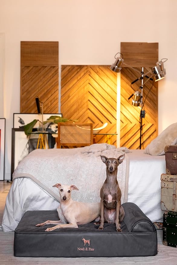 NOAH & PAW Large Dog Bed, 35x25x8.7 Inch, Orthopedic Dog Beds, Eggshell Memory Foam Infused with Cooling Gel, Waterproof, Machine Washable, Includes Inner Cover (Faux Leather)