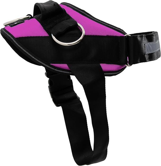 ShawnCo Essential Dog Harness, No-Pull Pet Vest with 3 Leash Clips, No Choke, Reflective, Adjustable and Padded, for Easy Walking and Training for Small, Medium and Large Dogs (Orchid, M)