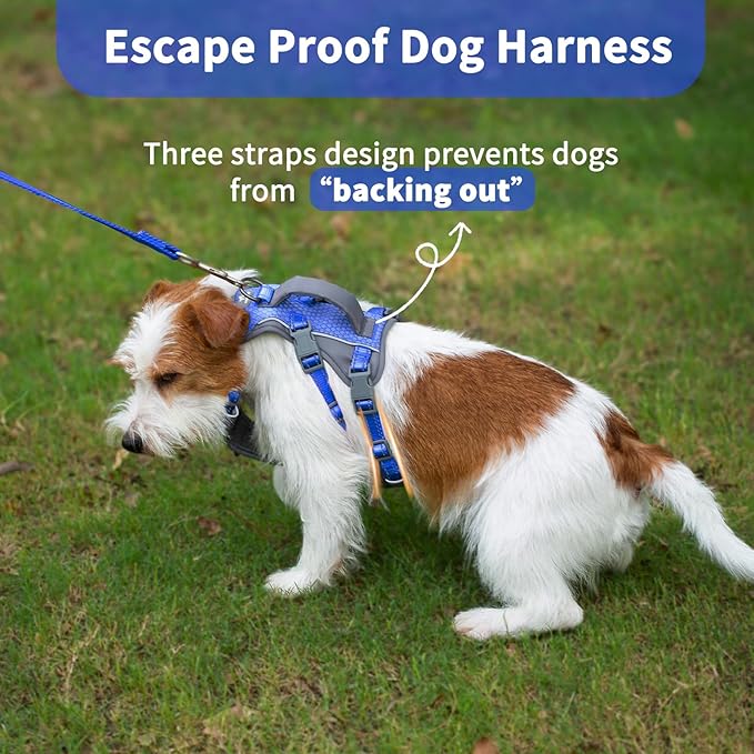 Huntboo Reflective Dog Harness with Handle, Escape Proof, No Slip, Breathable, Lightweight, Adjustable Lift Harness for Small, Medium, and Large Dogs Walking, Training, and Running Gear(Sea Blue,S)