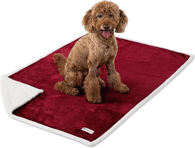 PetAmi Waterproof Dog Blanket for Medium Large Dog Puppy Cat Throw for Couch Cover Leakproof Protection, Sherpa Fleece, Reversible Soft Washable 60x40 Wine Red