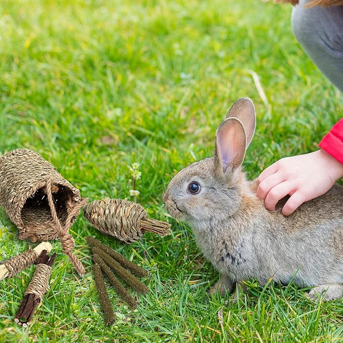 Rabbit Chew Toys,Natural Seagrass Hanging Basket with Sweet Bamboo,Timothy Hay,Water Plant Radish,Apple Sticks for Bunny Chinchillas Guinea Pigs Hamsters Rats Teeth Grinding