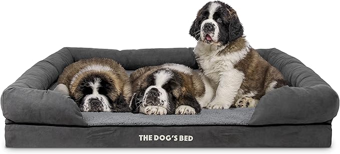 The Dog’s Bed Medium Support Memory Foam Dog Bed XXL Plush Grey, Pain Relief: Arthritis, Hip & Elbow Dysplasia, Supportive, Calming, Waterproof Washable Cover