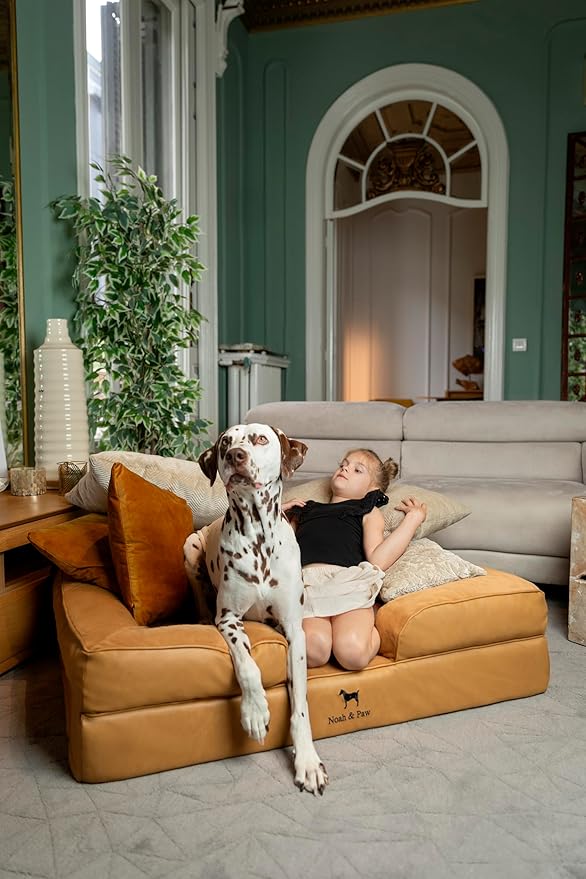 NOAH & PAW Large Dog Bed, 35x25x11 Inch, Orthopedic Dog Beds, Eggshell Memory Foam Infused with Cooling Gel, Inner Cover, Waterproof, Machine Washable (Velvet Sofa Collection)