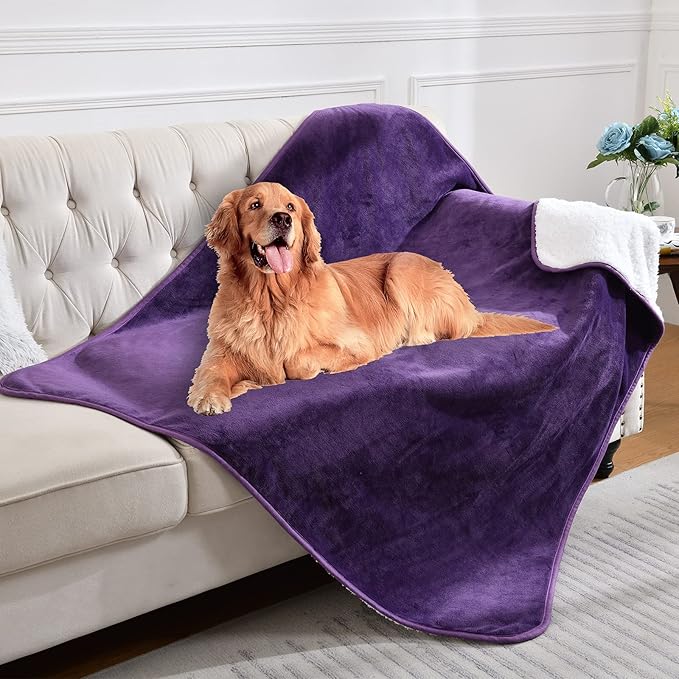 Waterproof Blanket for Bed Couch Sofa, Soft Liquid Pee Proof Pet Blanket for Dog Puppy Cat, Reversible Sherpa Fleece Furniture Protector (Dark Purple, 60x80 inches)