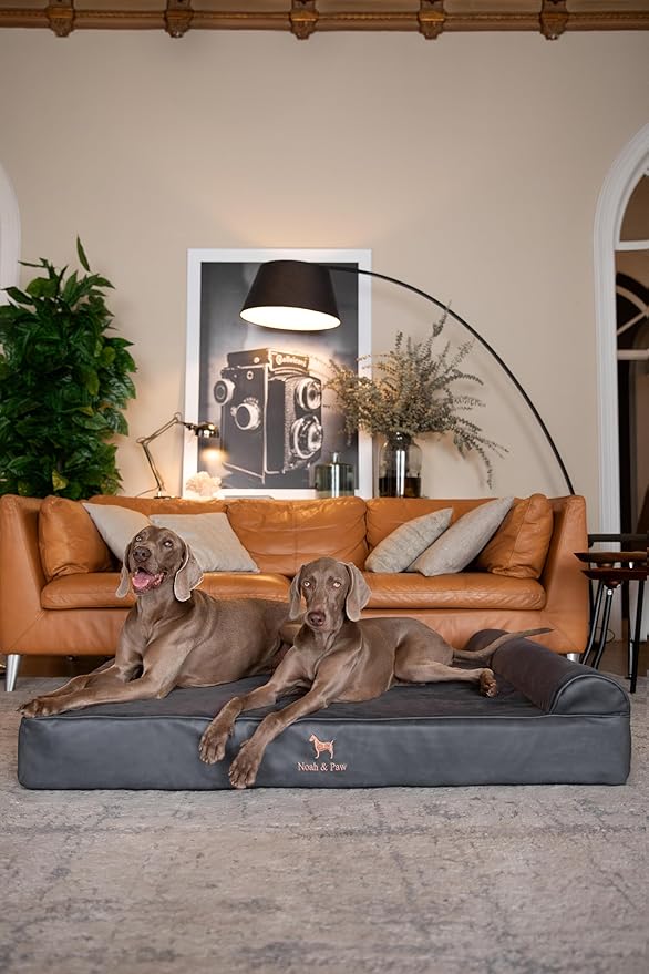NOAH & PAW Giant Dog Bed XXL 55x45x9.5 Inch, Orthopedic Dog Beds, Eggshell Memory Foam Infused with Cooling Gel, Waterproof, Machine Washable, Includes Inner Cover (Faux Leather)