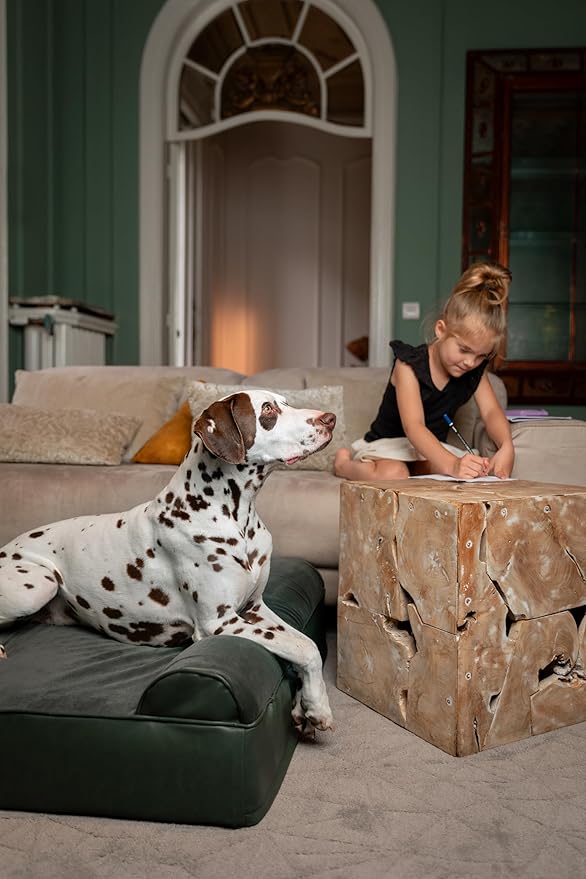 NOAH & PAW XL Dog Bed, 45x35x9.1 Inch, Orthopedic Large Dog Beds, Eggshell Memory Foam Infused with Cooling Gel, Waterproof, Machine Washable, Includes Inner Cover (Faux Leather)