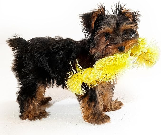 Playology Dog Toys | Puppy Toy Sensory Rope Tug of War Rope for Dogs and Puppies | Small Chicken Scented Toy - Easy to Clean and Made from Non Toxic Materials