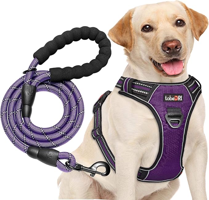 No Pull Harness with A Free Heavy Duty 5ft Leash for Medium Large Dog Adjustable Reflective Oxford Easy Control (L (Neck: 18"-25.5", Chest: 25.5"-31"), Purple Harness+Leash)