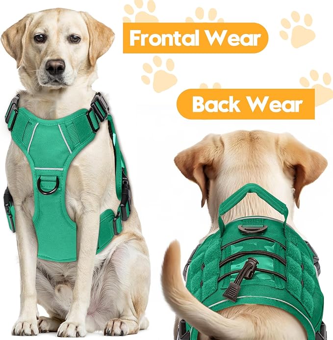 Heavy-Duty Tactical Dog Harness for Large Dogs, No Pull Adjustable Reflective Pet Vest with Molle System, K9 Military-Grade Control for Service Training, Outdoor & 10+ Breeds, Turquoise, Small