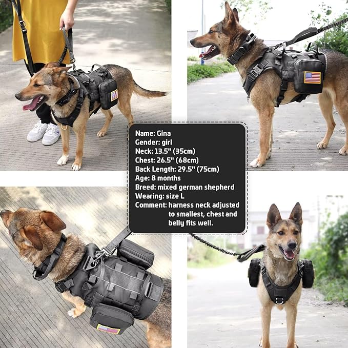 Forestpaw Tactical Dog Harness for Large Dogs,Tactical Dog Collar with Bungee Leash Set,No Pull Military Dog Harness for Walking Training,Adjustable for Medium Large Dogs,Black,Chest 15.5-25.5"