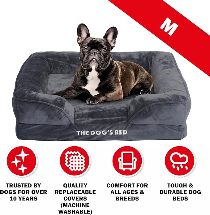 The Dog’s Bed, Orthopedic Standard Foam Waterproof Dog Bed with Standard Support, Medium Grey Plush, Waterproof, Supportive Dog Bed with Replaceable Covers