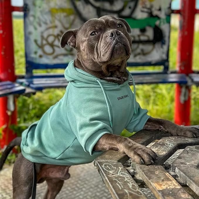 Spark Paws Dog Hoodie – Premium Dog Sweater for Small, Medium, and Large Dogs | Warm Outfits for French Bulldogs, Pitbull, Puppy, Winter Jacket Alternative - Teal - 2XL