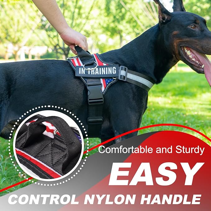 Essential Dog Harness with 3 Leash Clips - No-Pull, Adjustable, Comfortable Pet Vest Harness for Small to Large Dogs - Easy On, No Choke, Reflective, Padded Harness for Walking and Training
