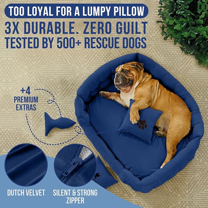 Luxury Dog Bed Chesterfield – Handcrafted Velvet Throne for Dogs | Joint Support, Calming & Temp-Regulating Comfort | Durable 5+ Years, Anti-Claw, Washable 100+ Times – L, Blue