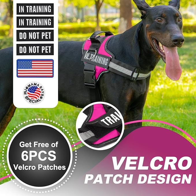 Essential Dog Harness with 3 Leash Clips - No-Pull, Adjustable, Comfortable Pet Vest Harness for Small to Large Dogs - Easy On, No Choke, Reflective, Padded Harness for Walking and Training