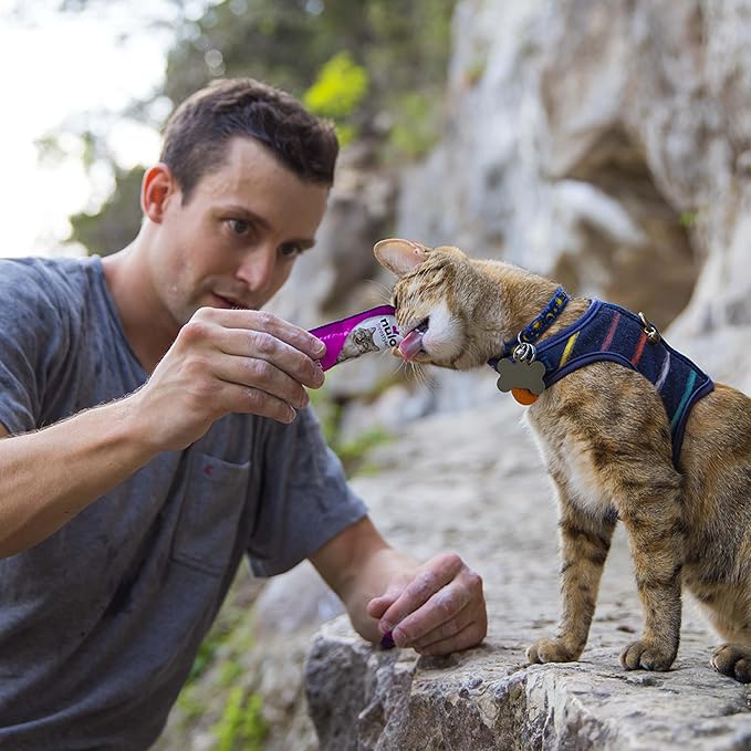 Nulo Freestyle Grain-Free Perfect Purees Premium Wet Cat Treats, Squeezable Meal Topper for Felines, High Moisture Content to Support Cat Hydration, 0.5 Ounce, Beef & Sardine