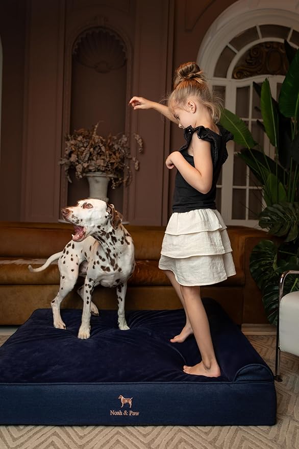 NOAH & PAW XL Dog Bed, 45x35x9.1 Inch, Orthopedic Large Dog Beds, Eggshell Memory Foam Infused with Cooling Gel, Waterproof, Machine Washable, Includes Inner Cover (Denim Collection)