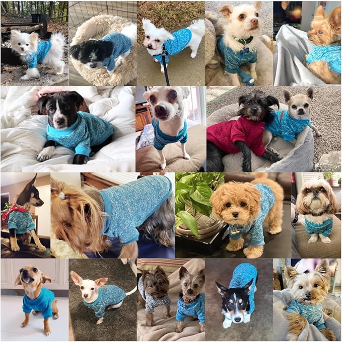 Jecikelon Dog Clothes Dogs Sweater Soft Puppies Clothing Winter Puppy Sweaters Warm Outfit for Dogs Small XXS XS Cat Apparel (Light Blue, XXS)
