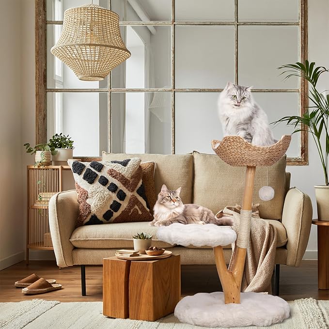 Solid Wood Cat Tower, Authentic Branch Cat Tree with Scratching Post and Cat Bed, Durable Furniture for Heavy Cats, for Cat Lovers, White