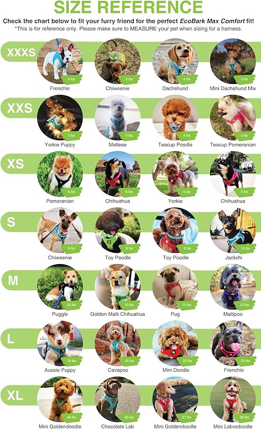 EcoBark Dog Harness - Teacup Dog Harnesses for XXXS, XXS, XS, and Small Dogs - Step in Soft Mini Body Halter - Puppy Harness- Toy Breed Dog Harness Vest Under 5 pounds lbs (XXXS, Forest Green)