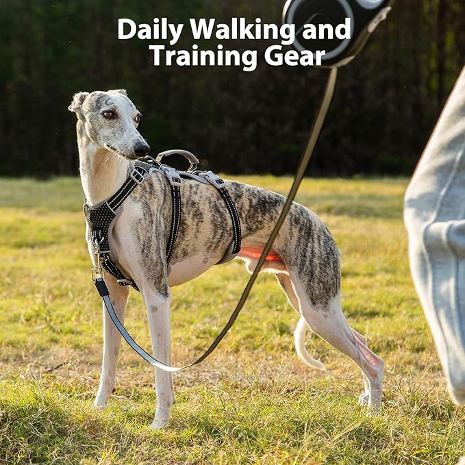 Huntboo Escape Proof Dog Harness, No Pull Reflective Harness with Lift Handle, Adjustable Pet Vest with Front and Back Leash Clips for Small Medium Large Dogs Walking Hiking Training (Black,XL)