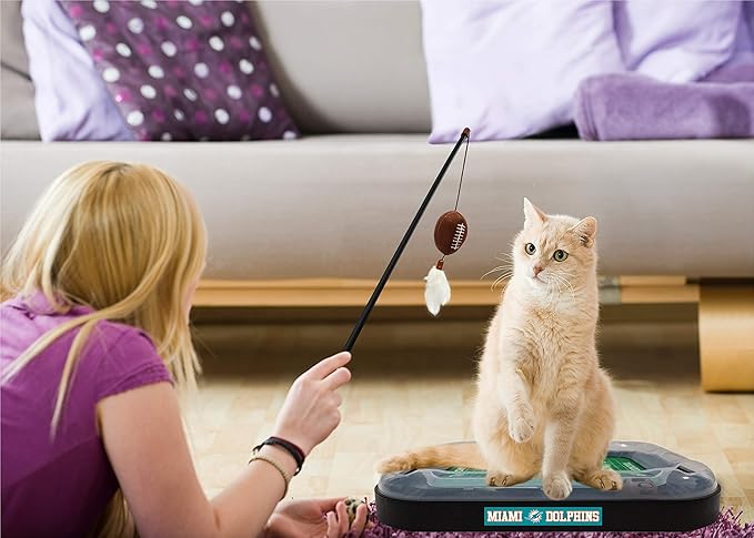 Cat Football Field NFL MIAMI DOLPHINS FOOTBALL FIELD CAT SCRATCHER TOY with CATNIP Filled Plush FOOTBALL Toy & Feather Cat Toy hanging, with Jingle Bell INTERACTIVE BALL Cat Chasing 5-in-1 KITTY Toy