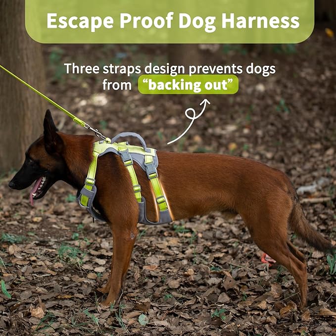 Huntboo Reflective Dog Harness with Handle, Escape Proof, No Slip, Breathable, Lightweight, Adjustable Lift Harness for Small, Medium, and Large Dogs Walking, Training,and Running Gear(Bright Green,M)