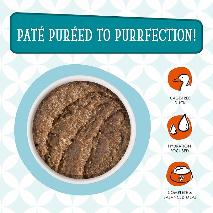 Weruva Cats in The Kitchen Slide N' Serve Grain-Free Natural Wet Pate Cat Food Pouches, Cat Times at Fridgemont, 3oz Pouch (Pack of 12)