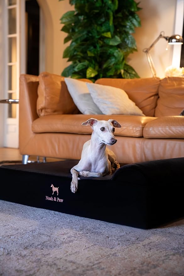 NOAH & PAW Large Dog Bed, 35x25x8.7 Inch, Orthopedic Dog Beds, Eggshell Memory Foam Infused with Cooling Gel, Waterproof, Machine Washable, Includes Inner Cover (Denim Collection)