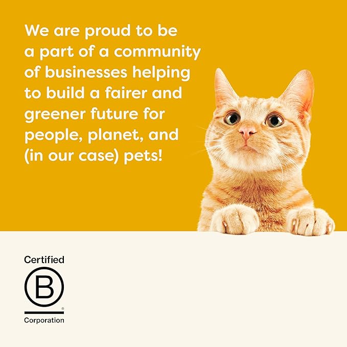 Applaws Natural Wet Canned Cat Food, Limited and Natural Ingredients, High Protein with No Artificial Additives, Chicken Selection Variety Pack in Broth (24 x 2.47oz Cans)