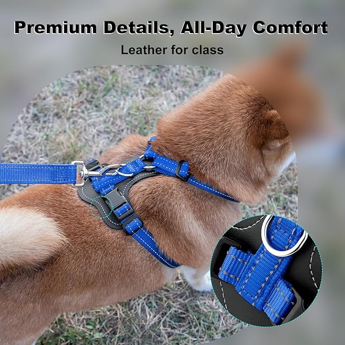 Plutus Pet Adjustable No Pull Dog Harness with Leather Accents, Heavy Duty Reflective Nylon Vest for Training, Hiking, Easy Walk Harness for Small, Medium, Large Dogs (Royal Blue, XL)