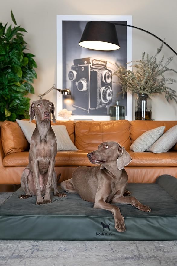 NOAH & PAW Giant Dog Bed XXL 55x45x9.5 Inch, Orthopedic Dog Beds, Eggshell Memory Foam Infused with Cooling Gel, Waterproof, Machine Washable, Includes Inner Cover (Faux Leather)