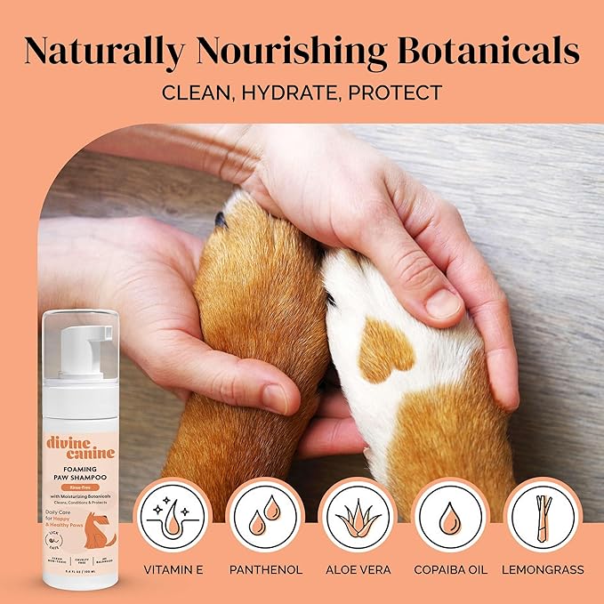 Foam Dog Paw Cleaner - Alcohol Free Foaming Paw Sanitizer Spritz - Made with Coconut, Aloe, Copaiba Oil, and Lemongrass Oil to Nourish and Clean Paws - Made in The USA
