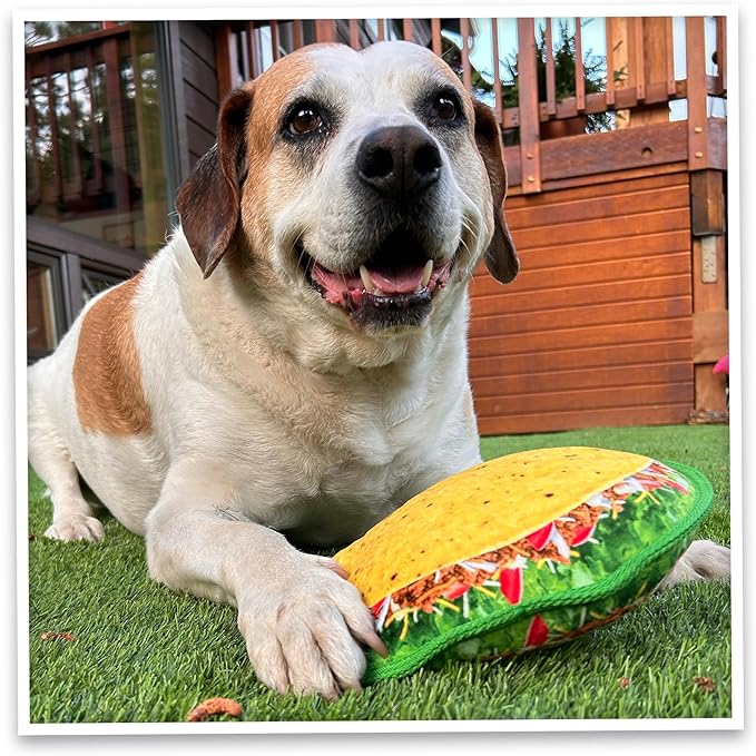 Doggijuana Tuffer Chewer Plush Dog Toy | Funny Dog Toy Plush with Juananip Catnip for Dogs | Calming Aid for Dogs | Interactive Squeaky Chew Toy for Play (Taco)