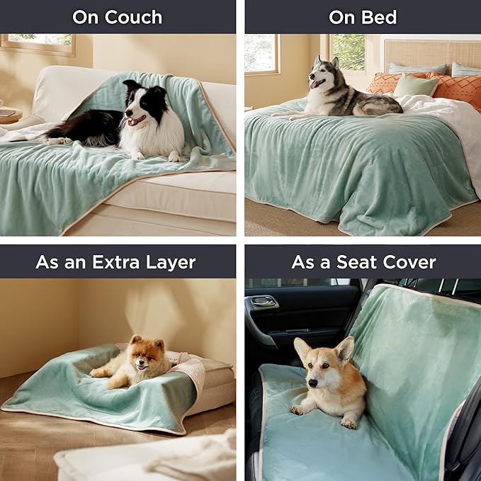 Bedsure Waterproof Blanket for Bed - Sherpa Fleece Waterproof Dog Blankets for Large Dogs, Pet Blankets for Bed/Couch/Dog Crate, Soft Plush Reversible Furniture Protector, Queen, 90"x86", Light Green