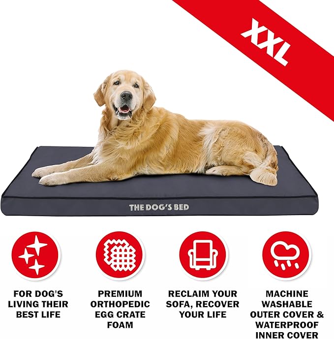 The Dog’s Bed Orthopedic Dog Bed, XXL Grey with Black Trim, Waterproof, Supportive Dog Bed with Washable Replaceable Covers