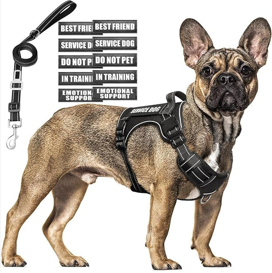 Tactical Dog Harness and Leash Set Medium Sized Dog,Heavy Duty No Pull Service Dog Vest and 10 Patches with Dog Seat Belt,Reflective Adjustable Pet Harness for Training Walking Hiking Black M