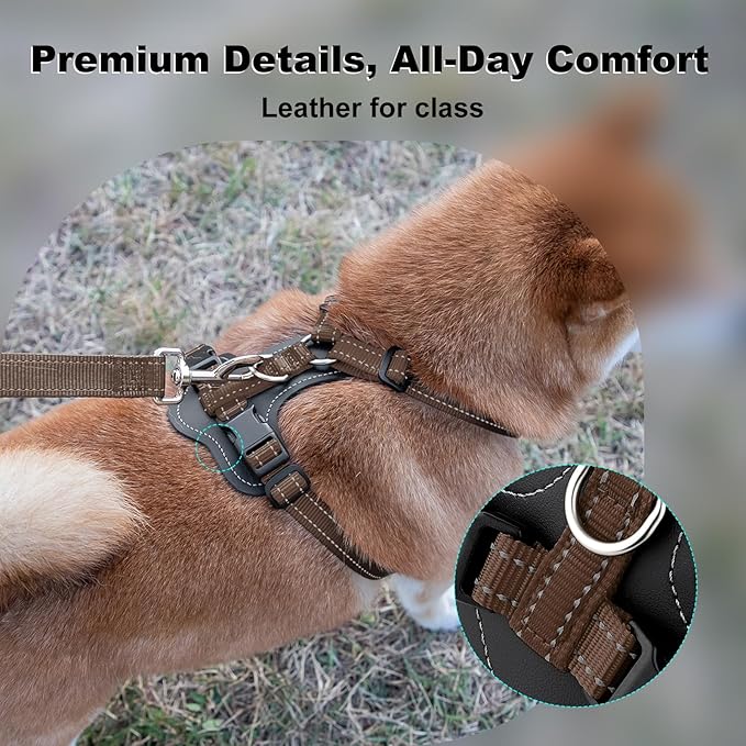 Plutus Pet Adjustable No Pull Dog Harness with Leather Accents, Heavy Duty Reflective Nylon Vest for Training, Hiking, Easy Walk Harness for Small, Medium, Large Dogs (Chocolate, M)