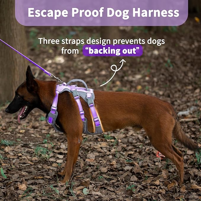 Huntboo Reflective Dog Harness with Handle, Escape Proof, No Slip, Breathable, Lightweight,Adjustable Lift Harness for Small, Medium,and Large Dogs Walking,Training,and Running Gear(Lavender Purple,L)