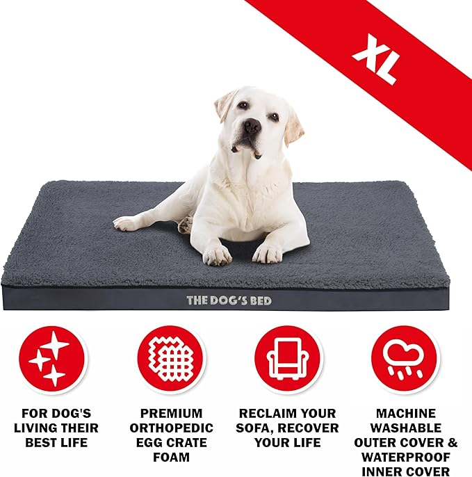 The Dog’s Bed Orthopedic Dog Bed, XL Grey Plush, Waterproof, Supportive Dog Bed with Washable Replaceable Covers